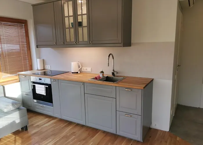 Apartment Vytauto 422 By Jk Palanga