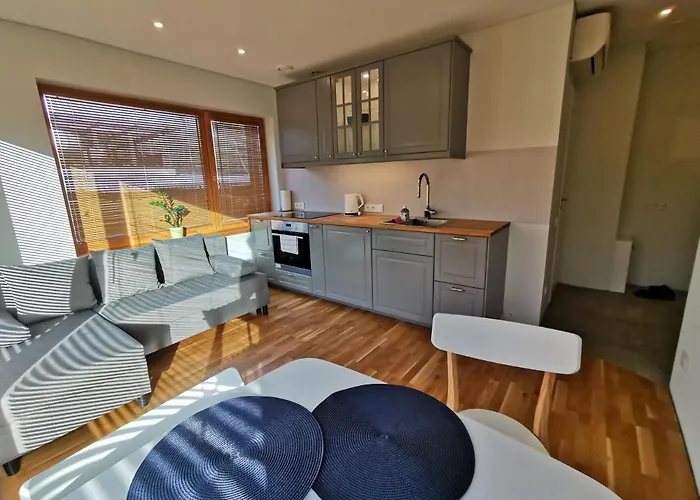 Vytauto 422 By Jk Apartment *